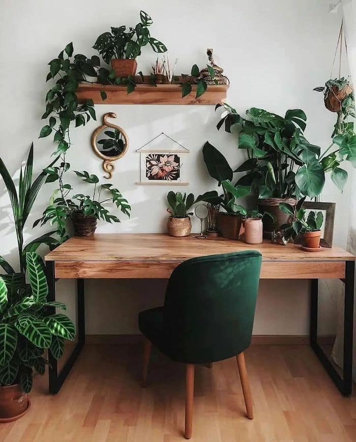 easyplantstopimage