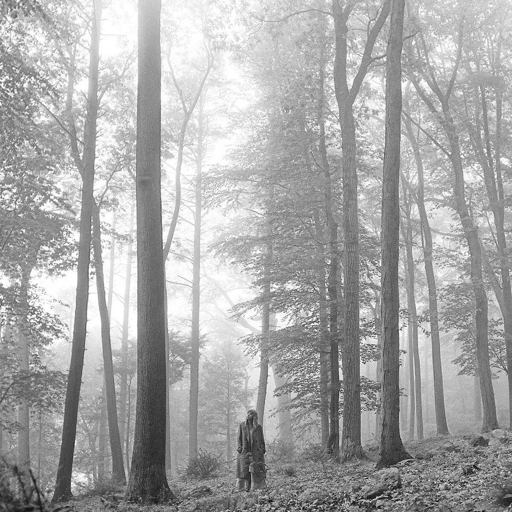 A person and a child stand together in a misty forest surrounded by tall, slender trees. The ethereal scene, reminiscent of a Taylor Swift album cover, is bathed in soft light and tranquil fog.