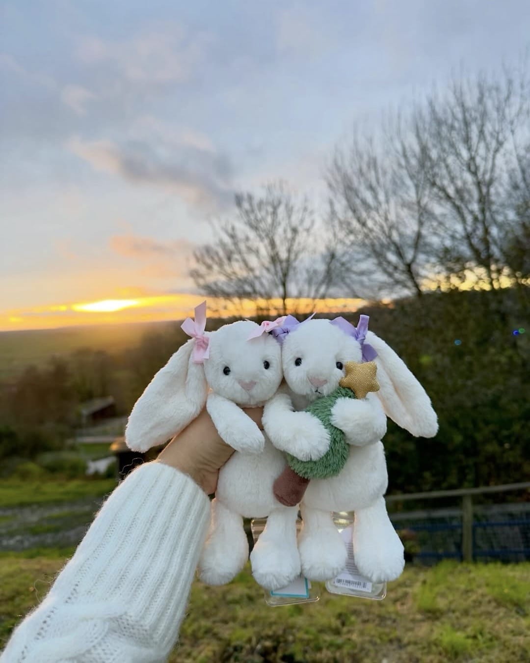 A hand in a white sweater holds two white plush bunny toys with bows, one holding a green and yellow toy, against a scenic outdoor background at sunset with trees and hills.