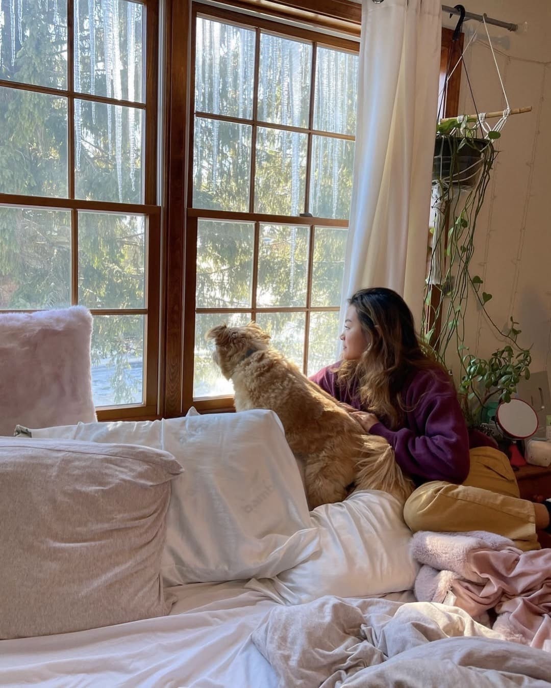 A woman and her dog sit on a bed by a large window, soaking in the sunlight—perfect for anyone trying to become a morning person. The cozy room features pillows, blankets, and a hanging plant for peaceful mornings.