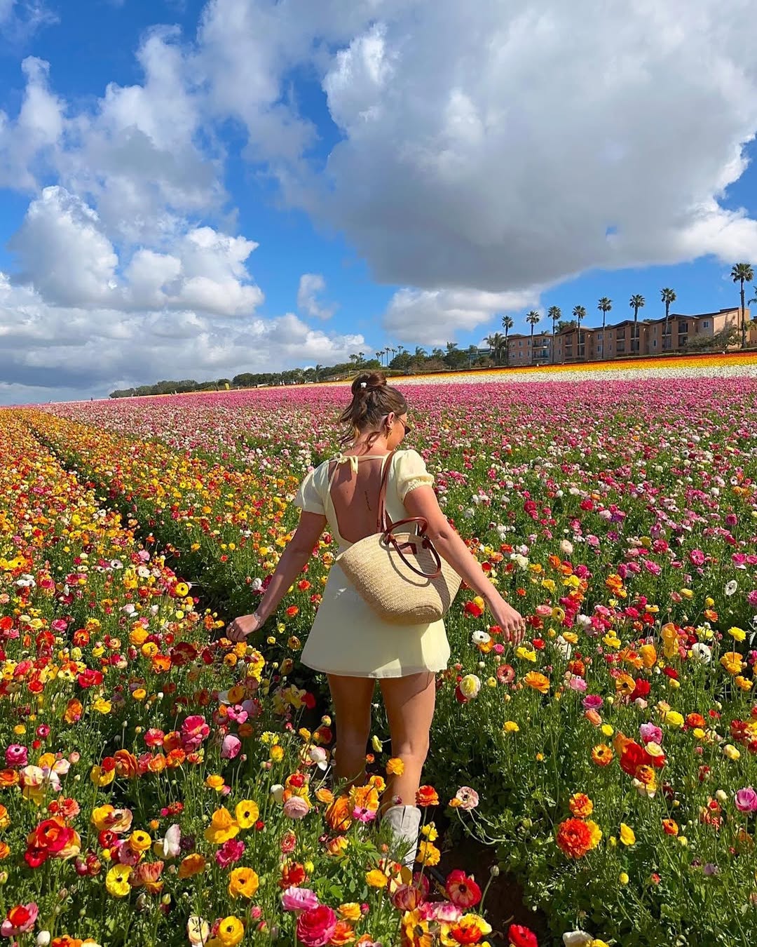 A woman in a yellow dress walks through a vibrant field of colorful flowers under a partly cloudy sky, with palm trees and buildings visible in the background.