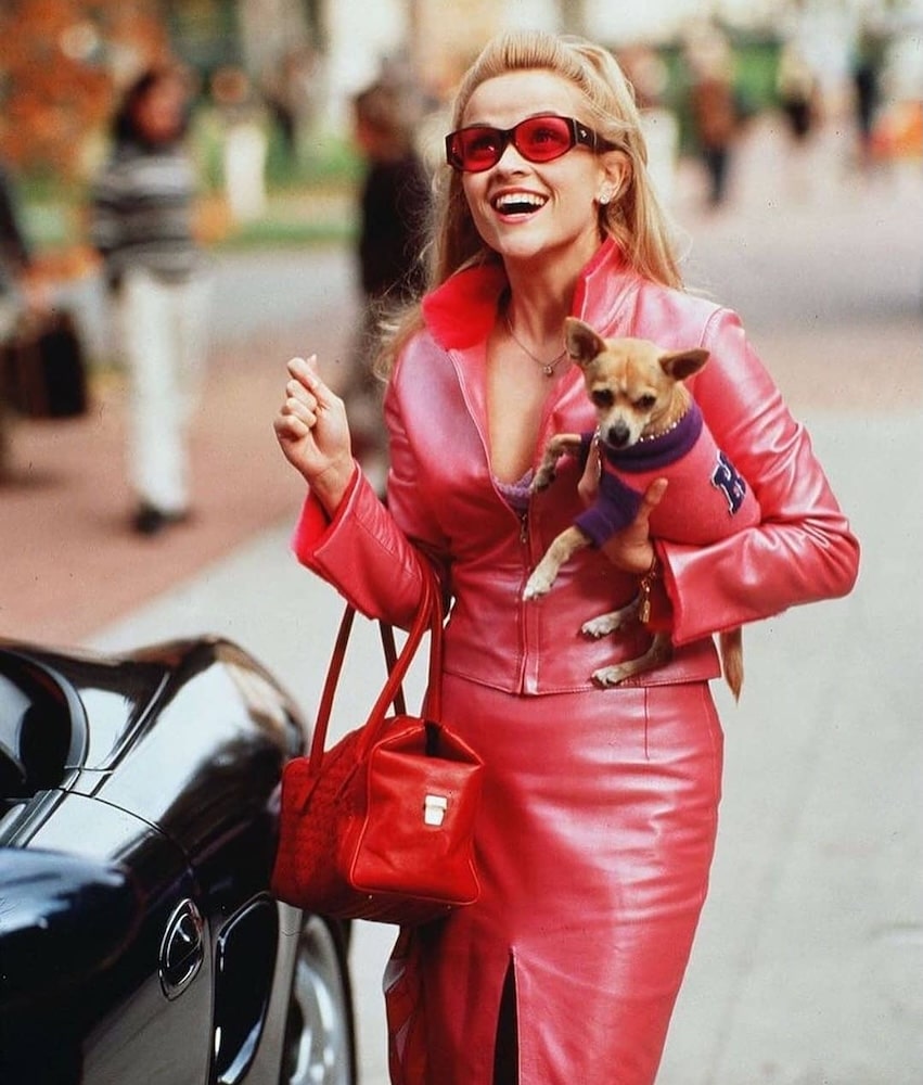 A smiling woman in a bright pink leather outfit and red sunglasses holds a small dog in a purple sweater while standing next to a black car on a sidewalk, channeling the iconic Elle Woods from the Legally Blonde series.