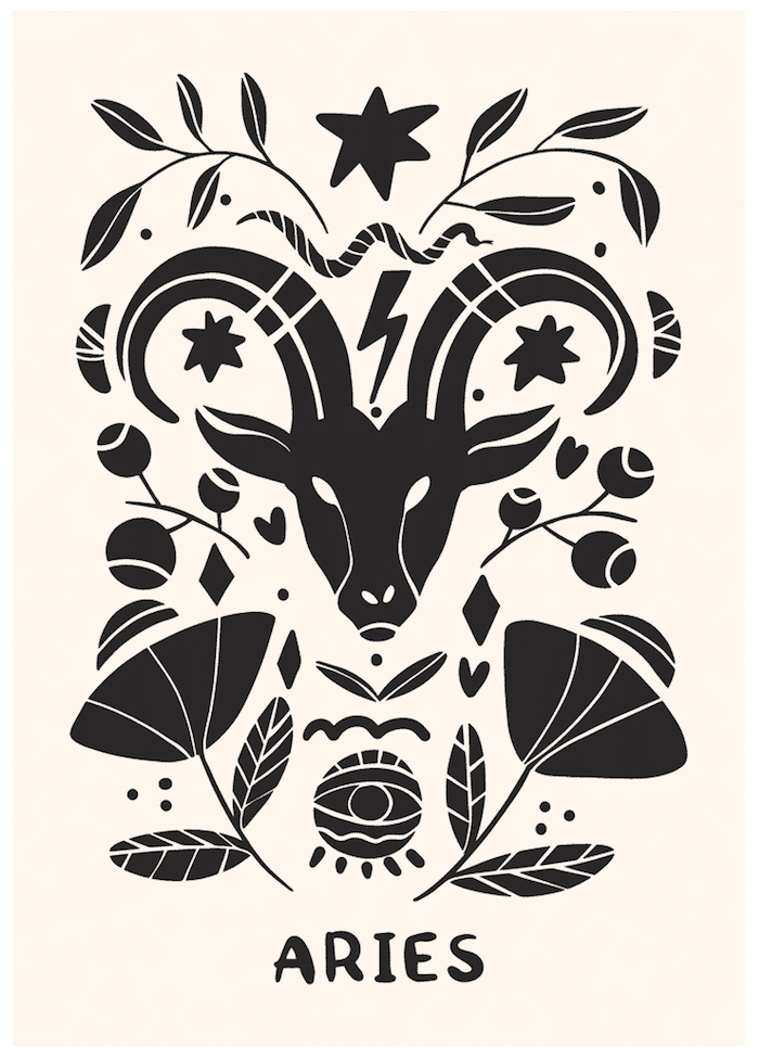 aries 10nd