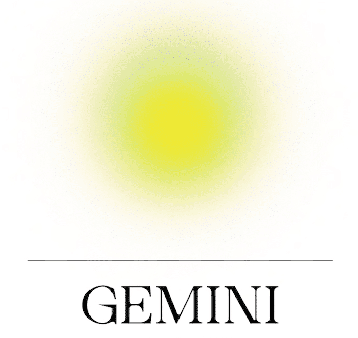 gemini 10nd