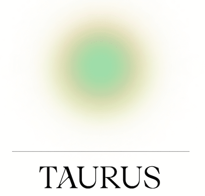 taurus 11nd